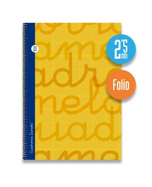 Cuaderno espiral FOLIO 80 hojas. Cubierta extra dura NARANJA.  Cuadrovía 2